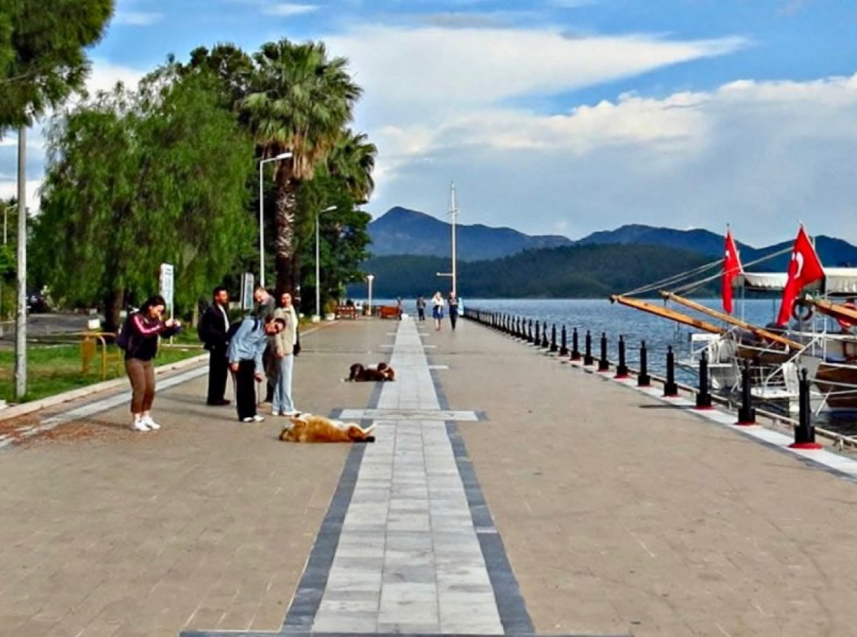 Köyceğiz Hakkında. Köyceğiz Villa Tatili